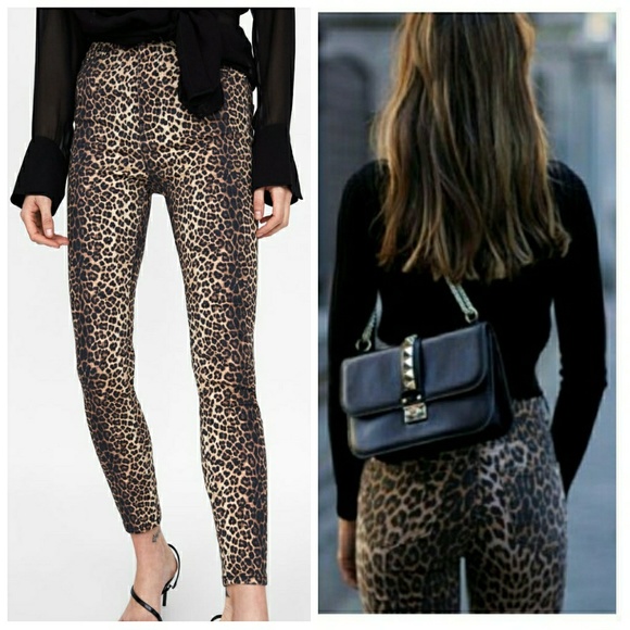 jeans zw premium high waist snake print